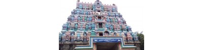 திருப்புடைமருதூர்